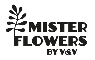Mister Flowers
